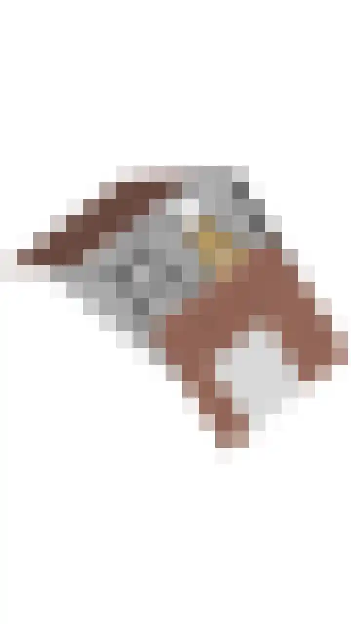 Krúslings 34 Ureterp thumbnail 30