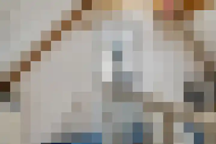 Krúslings 34 Ureterp thumbnail 31