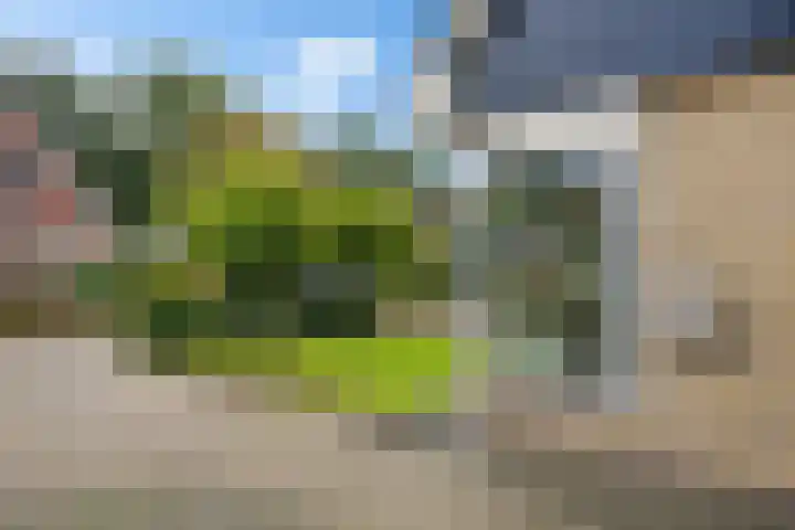 Krúslings 34 Ureterp thumbnail 39