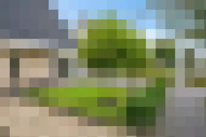 Krúslings 34 Ureterp thumbnail 42