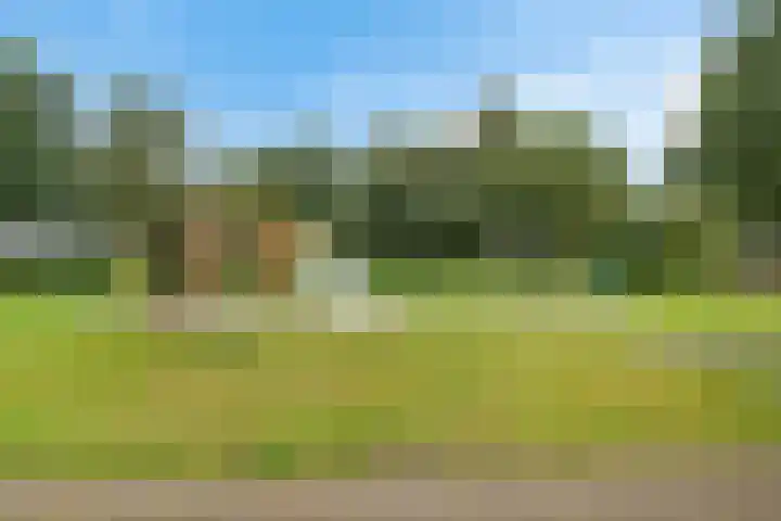 Krúslings 34 Ureterp thumbnail 47