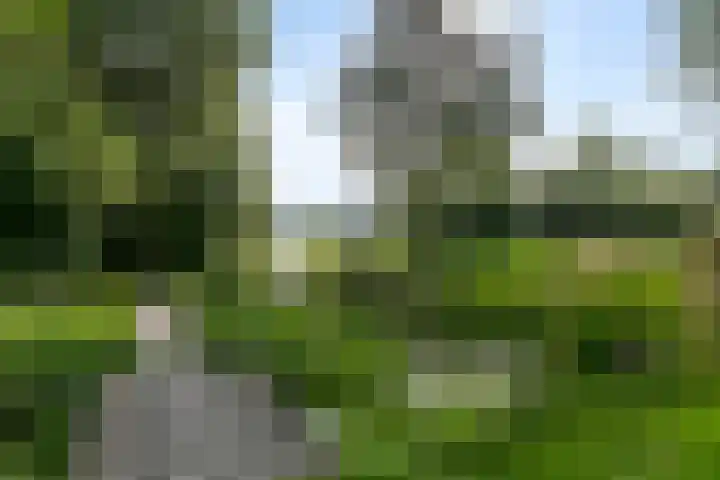 Krúslings 34 Ureterp thumbnail 49