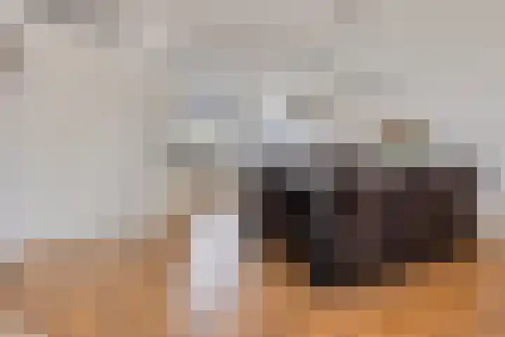 Krypton 4 Zeewolde thumbnail 14