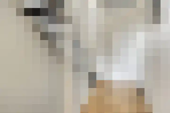 Krypton 4 Zeewolde thumbnail 19