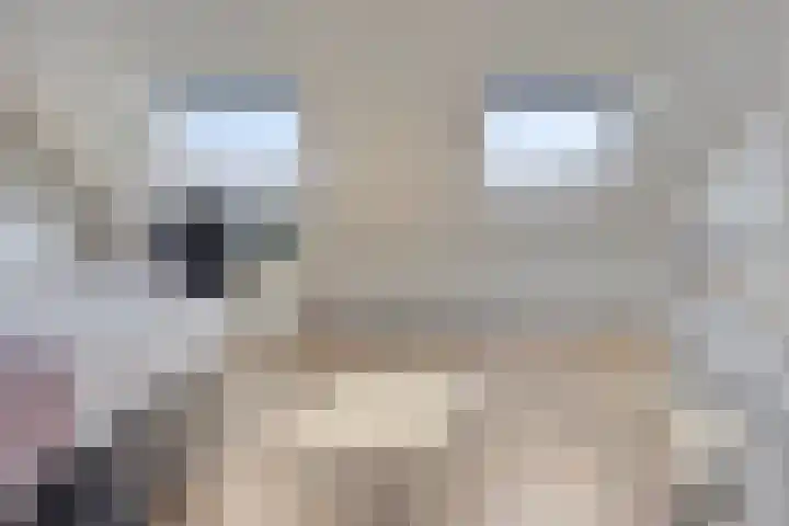 Krypton 4 Zeewolde thumbnail 27