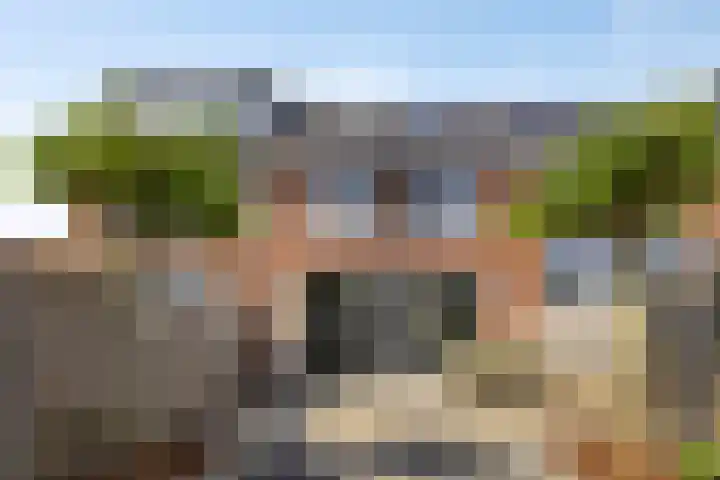 Krypton 4 Zeewolde thumbnail 31