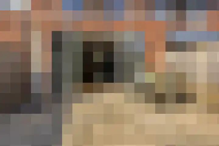 Krypton 4 Zeewolde thumbnail 32