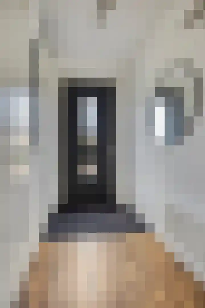 Krypton 4 Zeewolde thumbnail 9