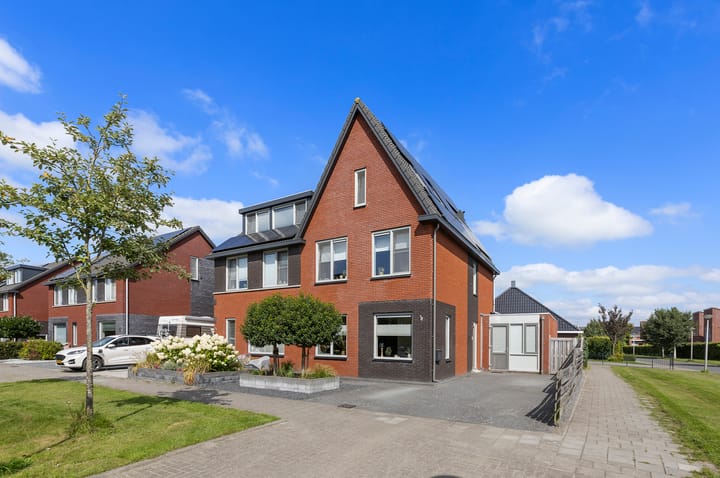 Kuifeend 1 in Bedum foto