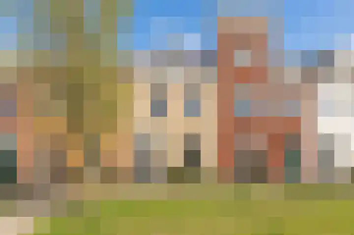 Kuifeend 14 Culemborg