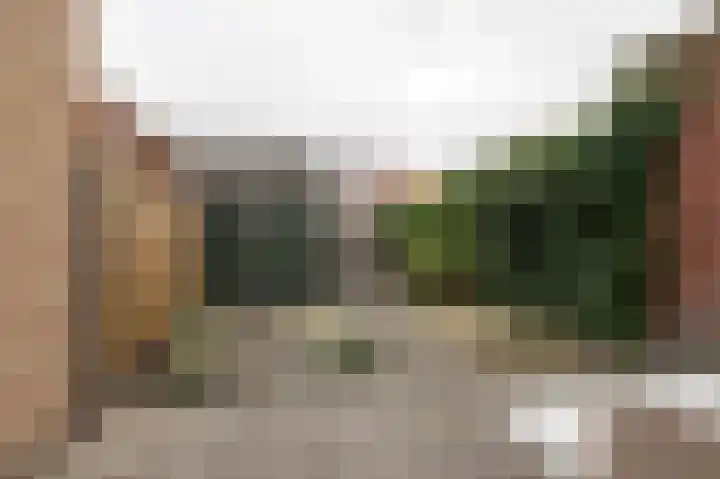 Kuifeend 14 Culemborg thumbnail 14