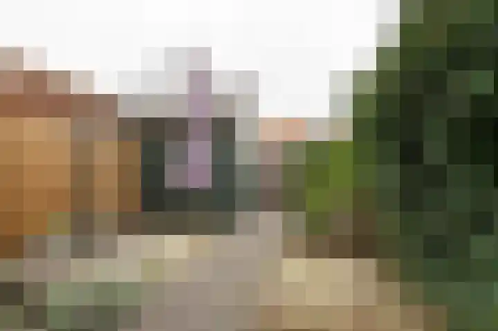 Kuifeend 14 Culemborg thumbnail 15