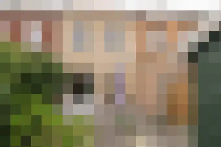 Kuifeend 14 Culemborg thumbnail 18