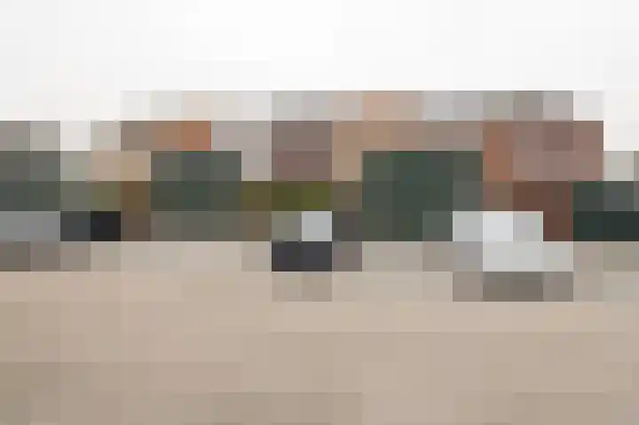 Kuifeend 14 Culemborg thumbnail 19