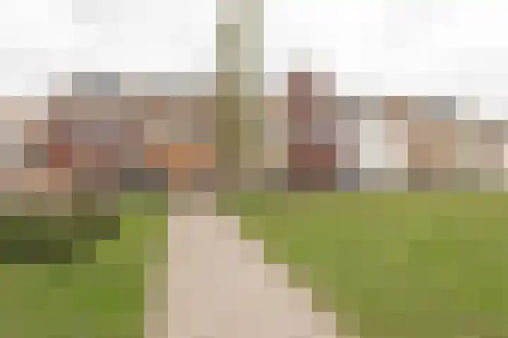 Kuifeend 14 Culemborg thumbnail 32