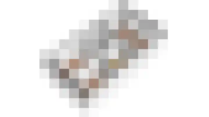 Kuifeend 14 Culemborg thumbnail 38