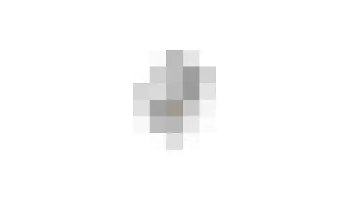 Kuifeend 14 Culemborg thumbnail 44