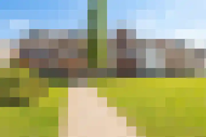 Kuifeend 14 Culemborg thumbnail 5