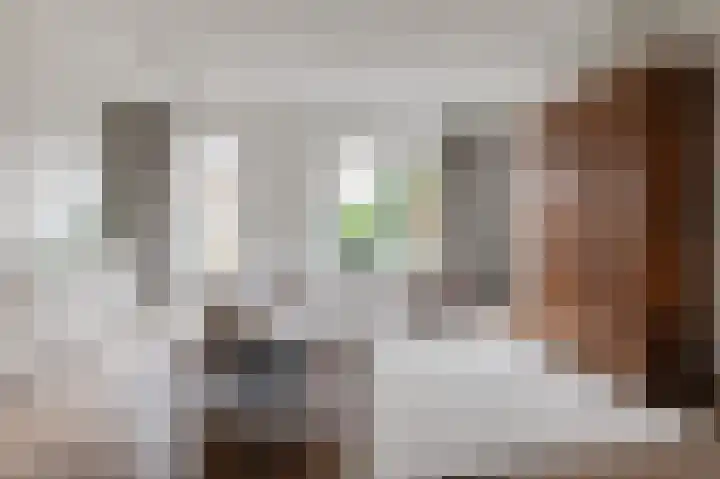 Kuifeend 14 Culemborg thumbnail 6