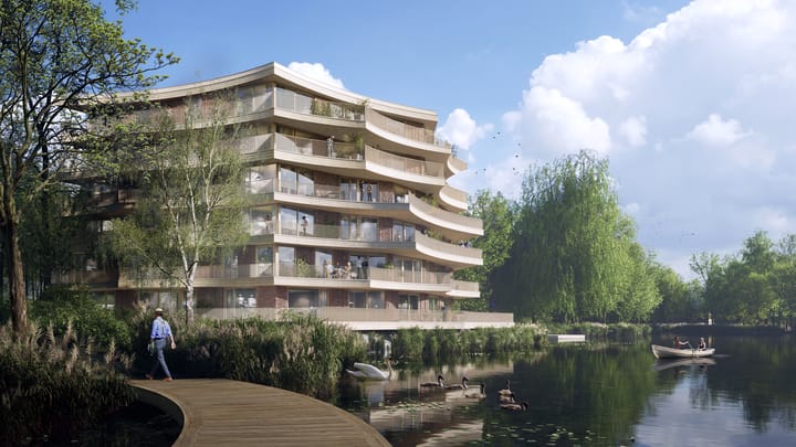 Kuifeend 19 in Pijnacker foto