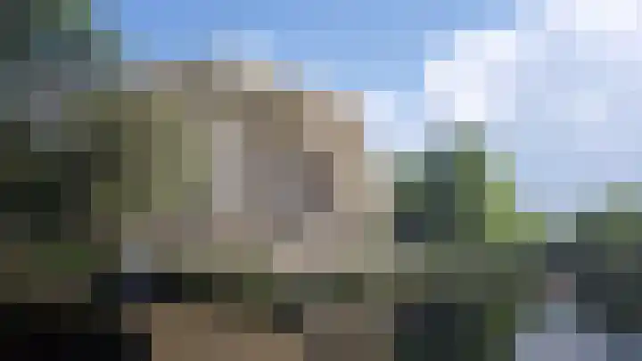 Kuifeend 23 Pijnacker thumbnail 7
