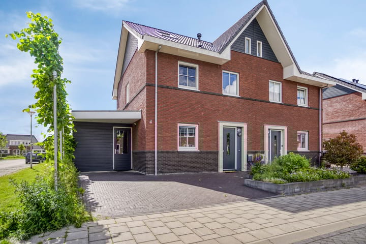 Kuifeend 40 in Bedum foto