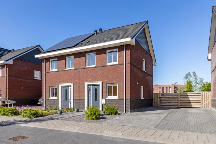 Kuifeend 46 in Bedum foto