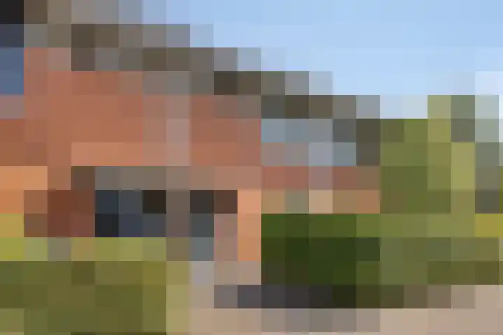 Kuifvlinder 6 dans Enschede