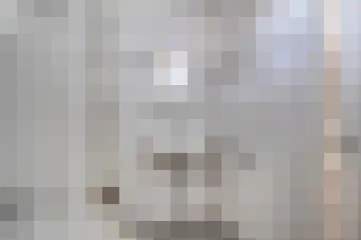 Kuifvlinder 6 Enschede thumbnail 20