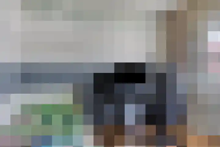 Kuifvlinder 6 Enschede thumbnail 22