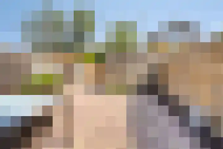 Kuifvlinder 6 Enschede thumbnail 24