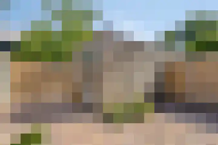 Kuifvlinder 6 Enschede thumbnail 26