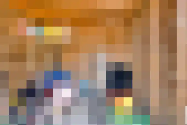 Kuifvlinder 6 Enschede thumbnail 27