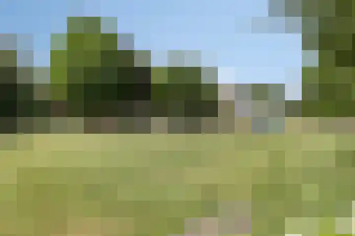 Kuifvlinder 6 Enschede thumbnail 28