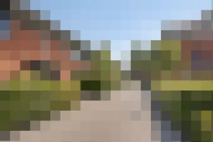 Kuifvlinder 6 Enschede thumbnail 5