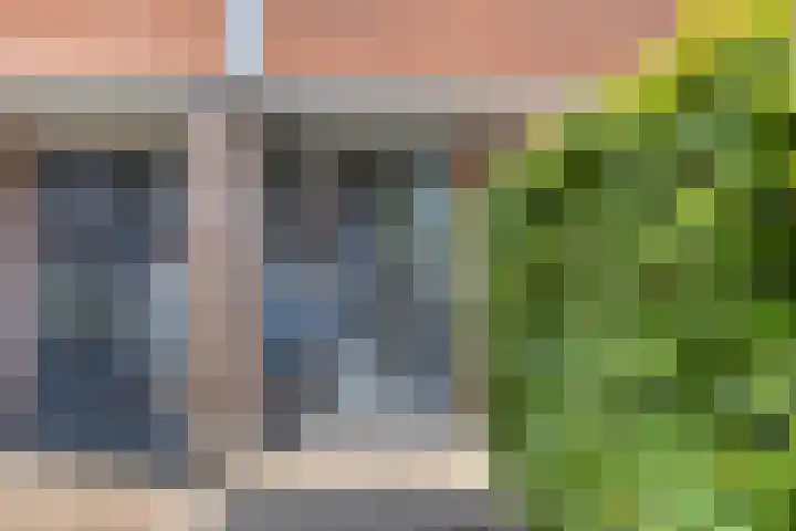 Kuifvlinder 6 Enschede thumbnail 7