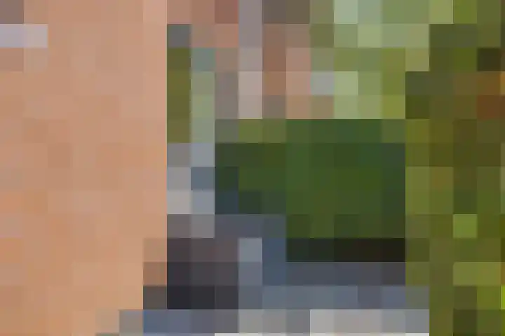 Kuifvlinder 6 Enschede thumbnail 8