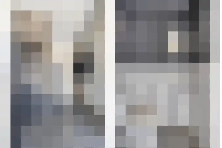 Kuifvlinder 6 Enschede thumbnail 9