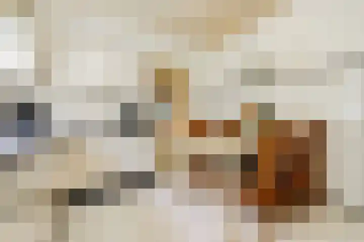 Kuilen 10 Sint Agatha thumbnail 13