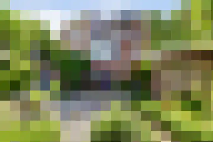 Kuilen 10 Sint Agatha thumbnail 47