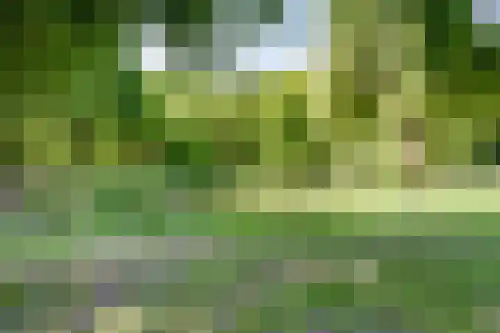 Kuilen 10 Sint Agatha thumbnail 57