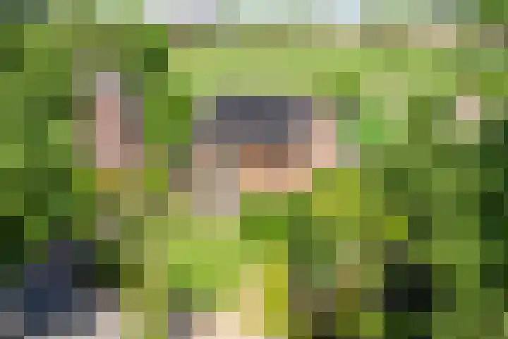 Kuilen 10 Sint Agatha thumbnail 7