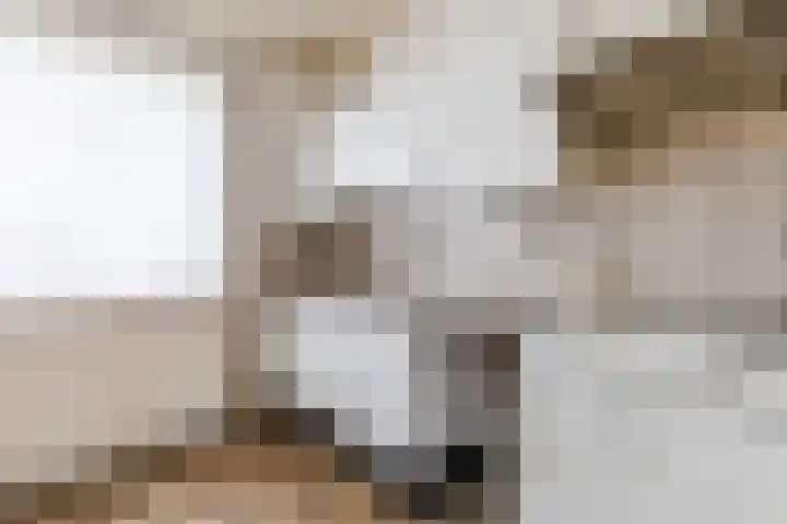 Kuilenhurk 7 Vessem thumbnail 10