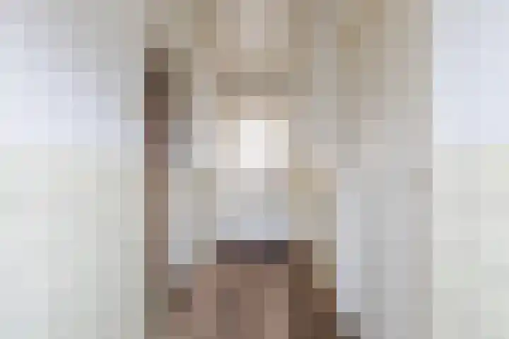 Kuilenhurk 7 Vessem thumbnail 14