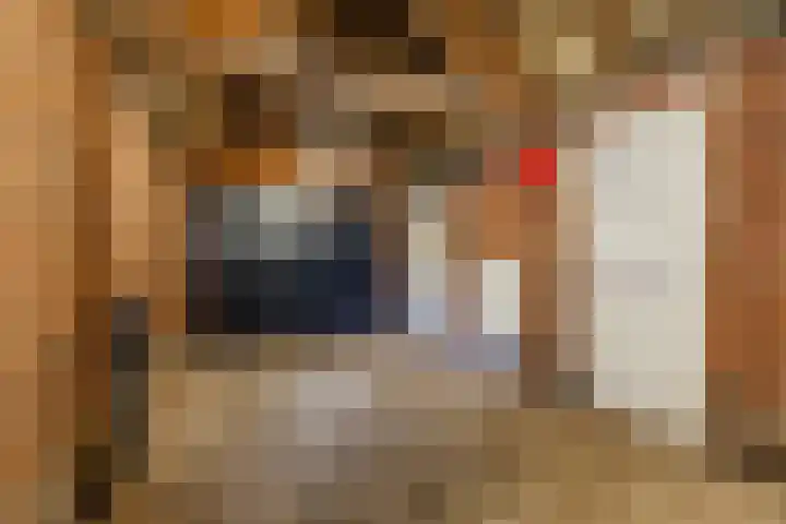 Kuilenhurk 7 Vessem thumbnail 30