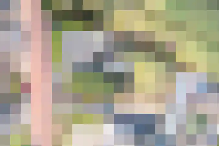 Kuilenhurk 7 Vessem thumbnail 33