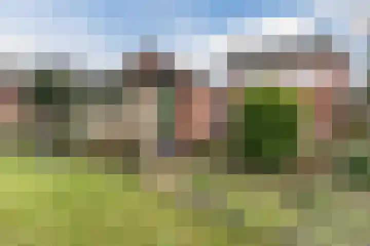 Kuilenhurk 7 Vessem thumbnail 37