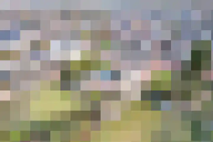 Kuilenhurk 7 Vessem thumbnail 41