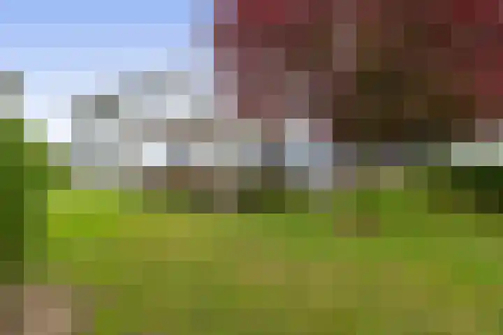 Kuilerstraat 16 Someren thumbnail 25