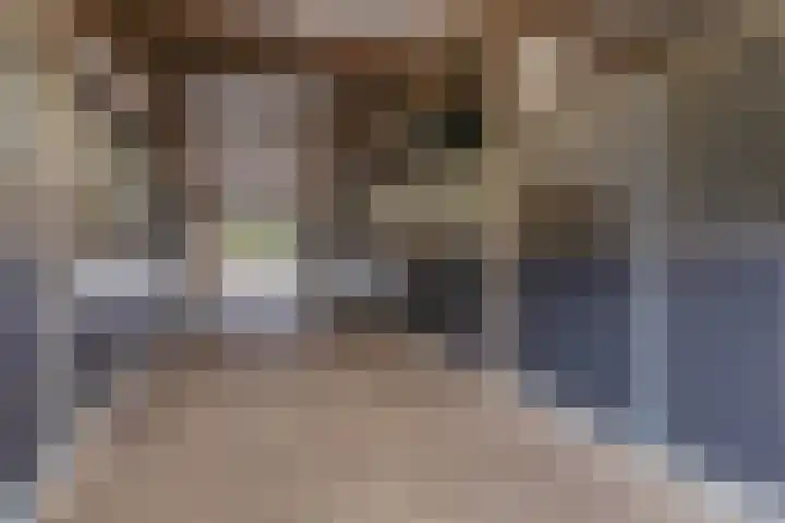 Kuilerstraat 16 Someren thumbnail 31